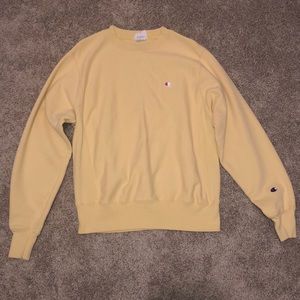 UO x champion sweatshirt